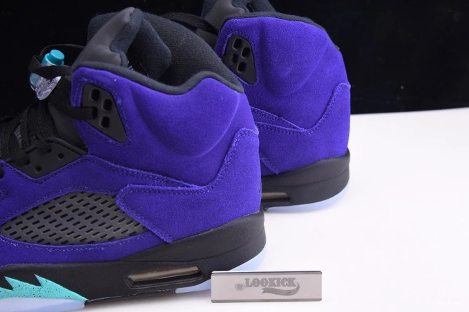 Rep Air Jordan Alternate 136027-500 Retro Grape 5 0811